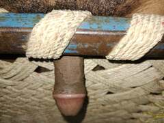 I had a mischievous night with my jizm-pump as I plumbed it firm in the first-ever time ever!